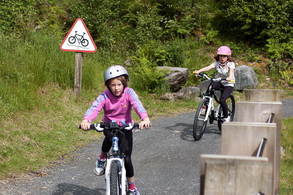 A Family Day Out at Coed Y Brenin