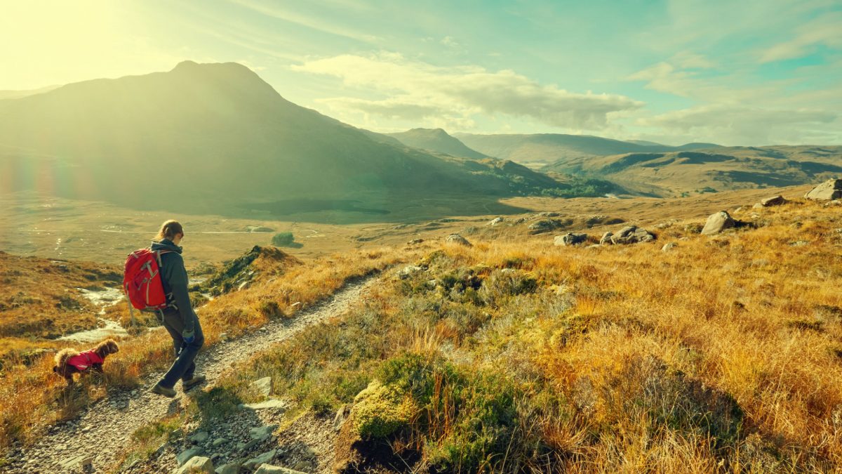 walking, snowdon