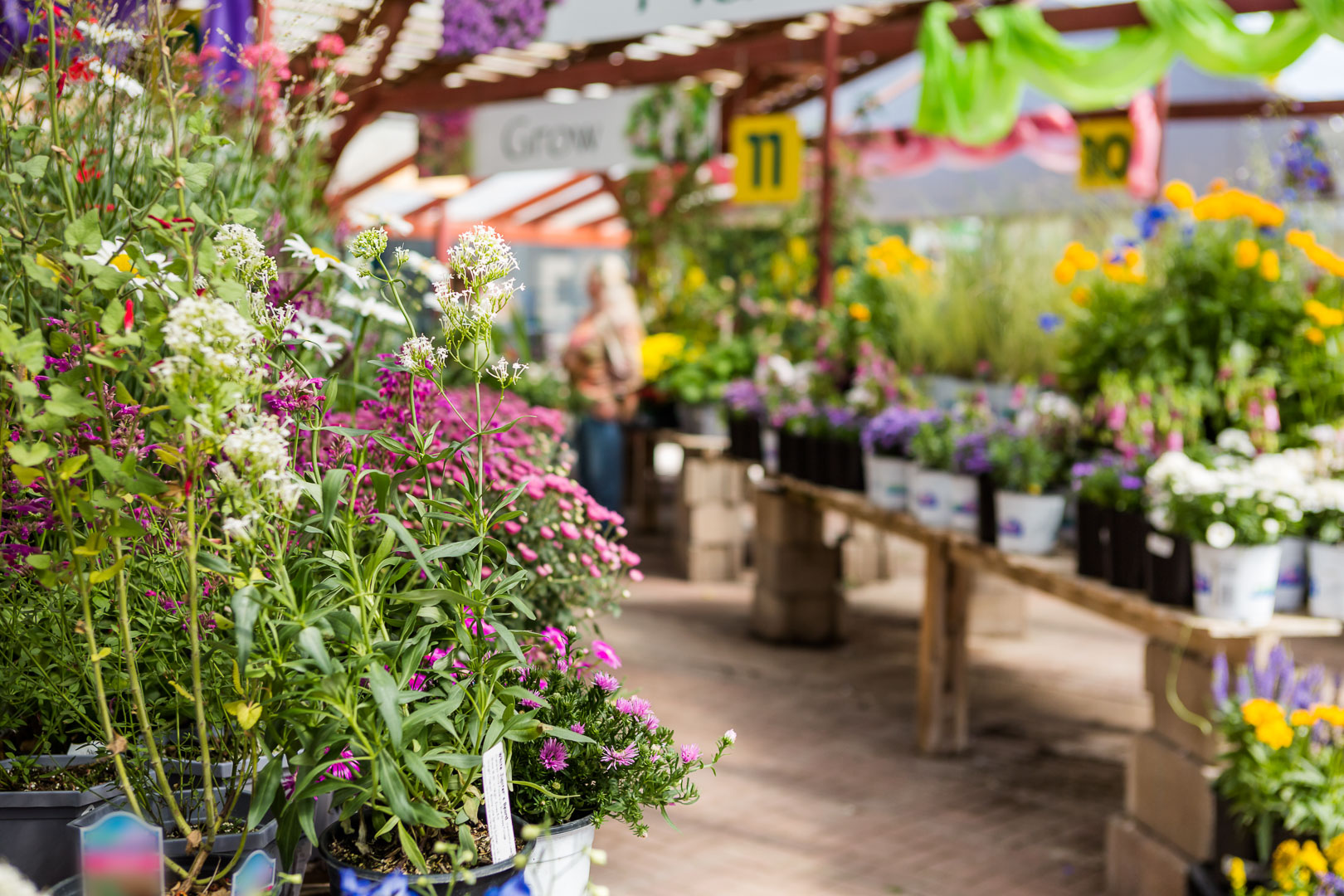 Top 5 Garden Centres In North Wales Dioni Holiday Cottages