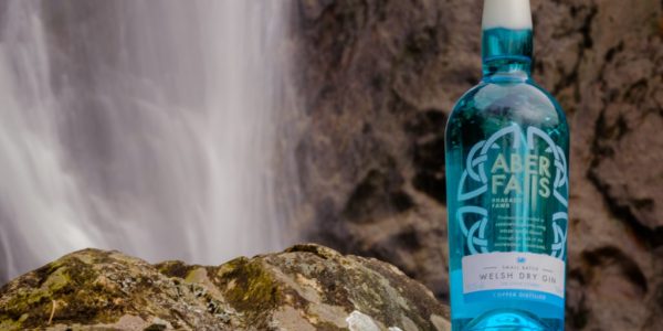 Aber Falls Gin at Holiday Cottage with Sea Views