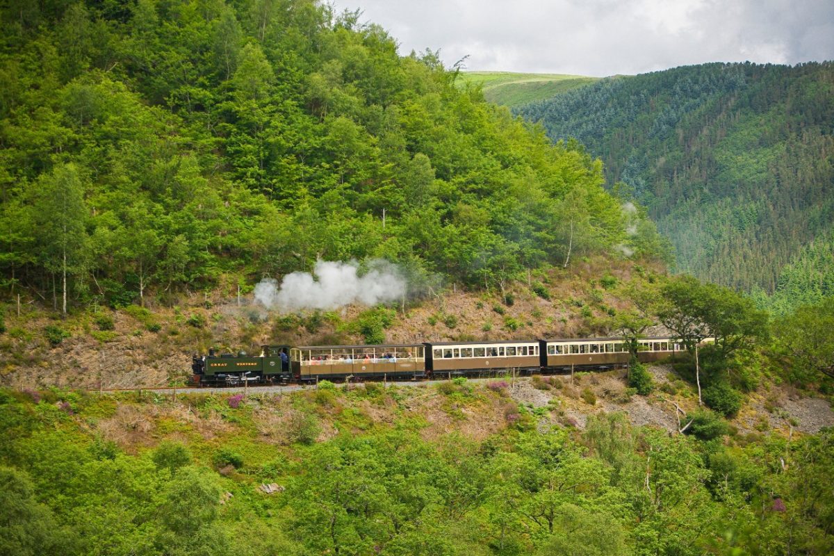 Things To Do in Ceredigion 